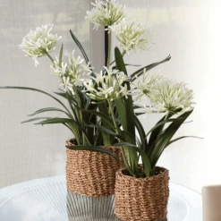 Napa Home & Garden Decor Agapanthus Drop-In