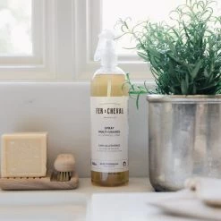 Kiss That Frog Kitchen All Purpose Spray With Marseille Soap