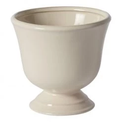 Accent Decor Cora Compote New Arrivals