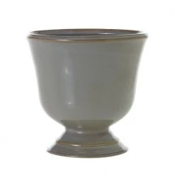 Accent Decor Cora Compote New Arrivals