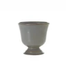 Accent Decor Cora Compote New Arrivals