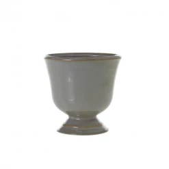 Accent Decor Cora Compote New Arrivals