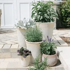 Park Hill Distressed Concrete Pot Summer