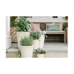 Park Hill Distressed Concrete Pot Summer