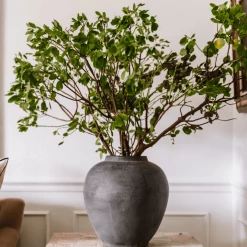 Lily's Living Earthy Gray Pot