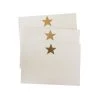 The Dairy Studio Gold Star Note Cards (Set Of 10) Gifts