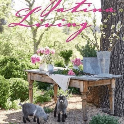 Common Ground Patina Living