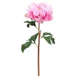 Winward Pink Peony Faux Branch Botanical
