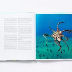 Common Ground The Life & Love Of The Sea 5 Common Ground The Life & Love Of The Sea